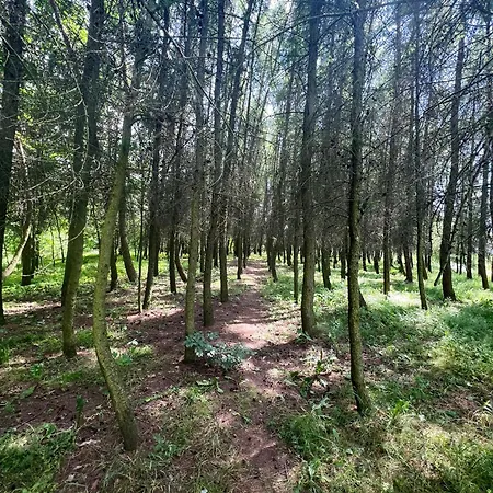 Podedworze Apartman *