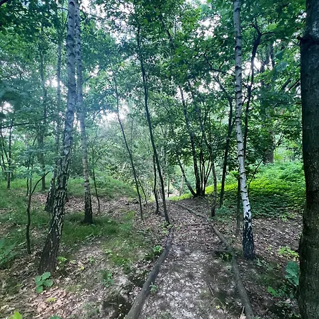 Appartement Podedworze *