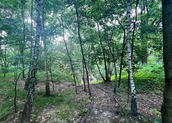 Appartamento Podedworze *